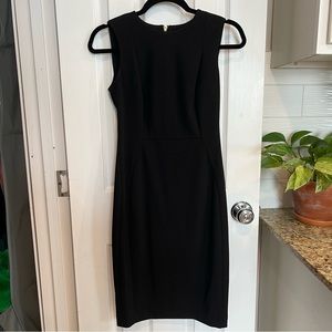 Calvin Klein Sleeveless Sheath Dress